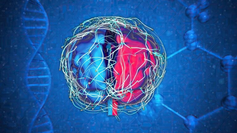 eixo intestino cerebro