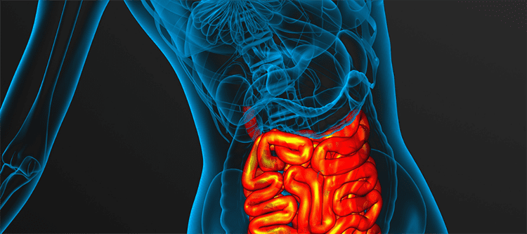quanto tempo intestino demora para desinflamar