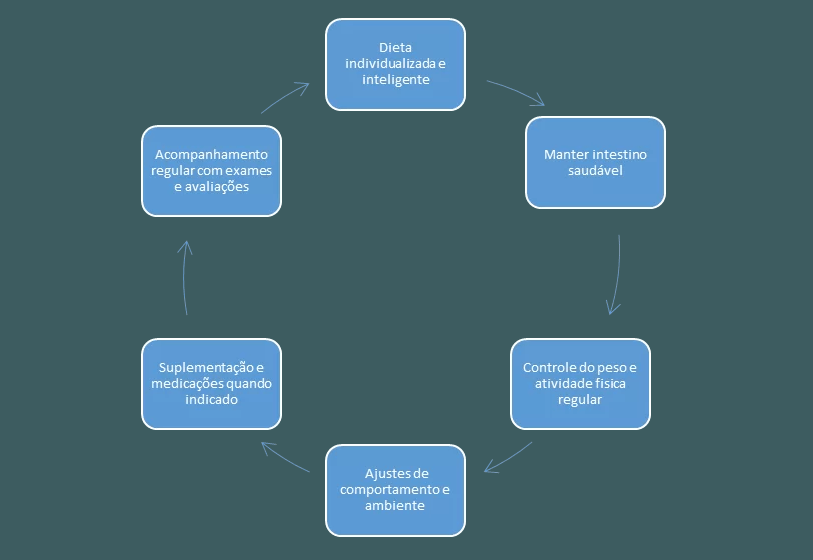 Ciclo da Nutrologia Esportiva – Estratégias Médicas para Performance e Saúde